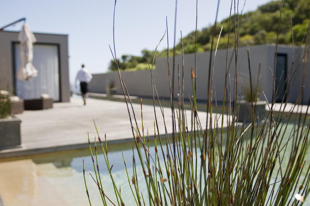 Plettenberg Park Hotel & Spa 普勒滕贝格湾 外观 照片