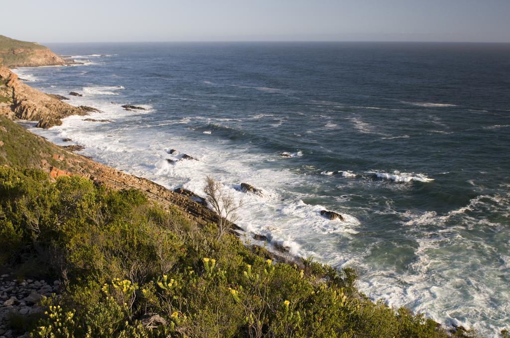 Plettenberg Park Hotel & Spa 普勒滕贝格湾 外观 照片
